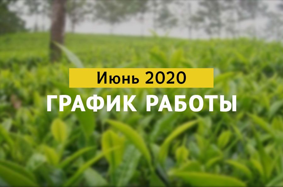 Режим работы в Июне