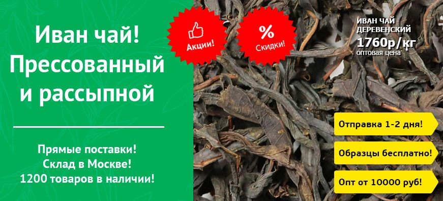 иван чай оптом