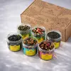 Подарочный набор чая FANTASTEA №4 (6 видов) оптом в BestTea, фото 
