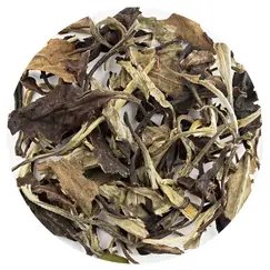 Чай пуэр Юэ Гуан Бай, Шен в чайном магазине BestTea, фото 