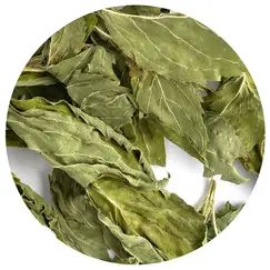 Мята крупная, целый лист оптом в BestTea, фото 