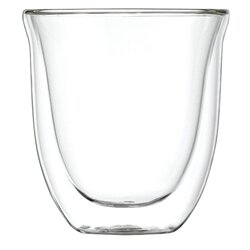 Чаша необжигающая стеклянная, 250 мл / Стакан с двойными стенками в чайном магазине BestTea, фото 