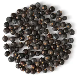 Можжевельник, плоды оптом в BestTea, фото 