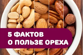 5 интересных фактов о пользе ореха