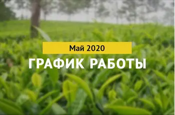 Режим работы BestTea