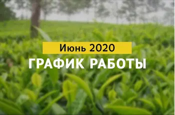 Режим работы в Июне