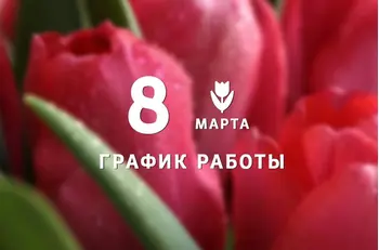 График работы BestTea в марте 2020