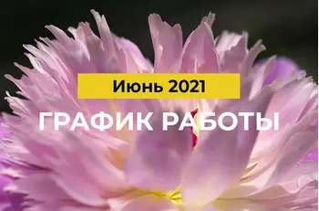 Режим работы в Июне 2021
