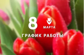 График работы BestTea в марте 2020