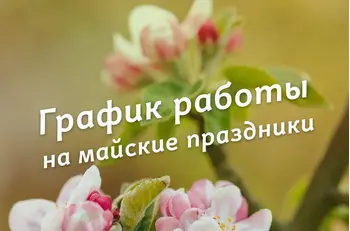 График работы BestTea в майские праздники 2022