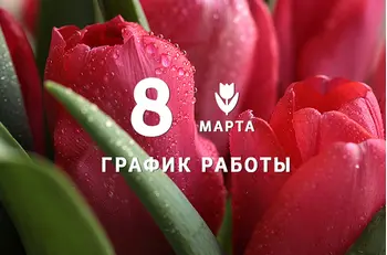 График работы BestTea в марте 2023