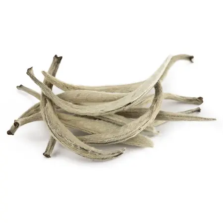 Чай белый Бай Хао Инь Чжень в чайном магазине BestTea, фото , изображение 7