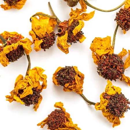 Хризантема цветы желтые в чайном магазине BestTea, фото , изображение 4
