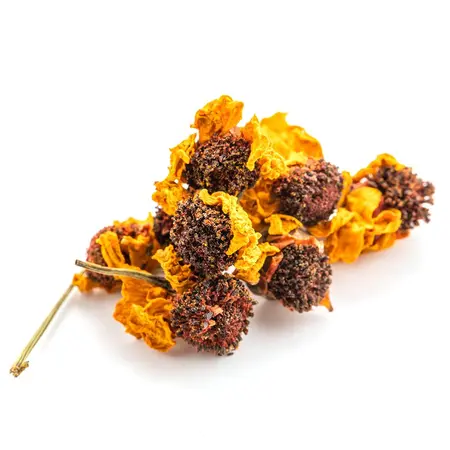 Хризантема цветы желтые в чайном магазине BestTea, фото , изображение 6