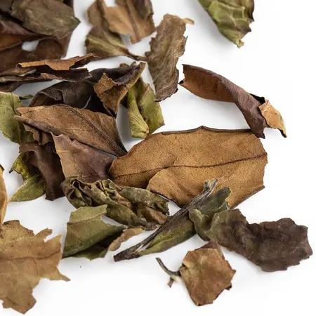 Чай белый Бай Му Дань выдержанный 3 года в чайном магазине BestTea, фото , изображение 3