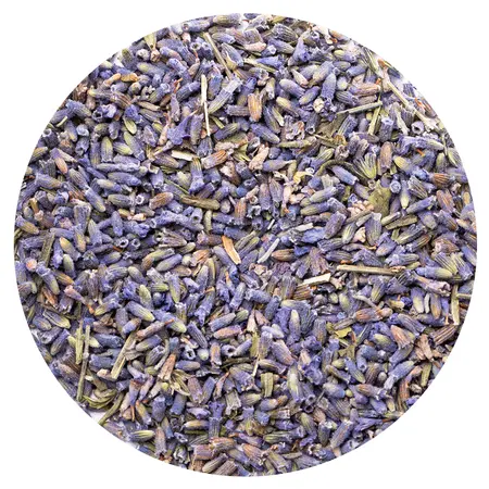 Лаванда, цветы в чайном магазине BestTea, фото 