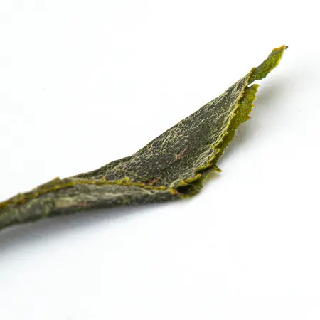 Зеленый чай крупнолистовой (Сосновые иголки) в чайном магазине BestTea, фото , изображение 10