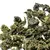 Чай улун Те Гуань Инь, кат. C в чайном магазине BestTea, фото , изображение 11