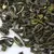 Чай жасминовый Моли Хуа Ча в чайном магазине BestTea, фото , изображение 7
