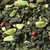 Чай улун Сказка Востока в чайном магазине BestTea, фото , изображение 9