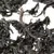 Чай улун Да Хун Пао (Большой красный халат) кат. А в чайном магазине BestTea, фото , изображение 5