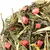 Чай зеленый Клубника со сливками, ароматизированный в чайном магазине BestTea, фото , изображение 2