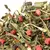 Чай зеленый Клубника со сливками, ароматизированный в чайном магазине BestTea, фото , изображение 5