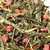 Чай зеленый Клубника со сливками, ароматизированный в чайном магазине BestTea, фото , изображение 7