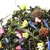 Чай зеленый Чайная Муза оптом в BestTea, фото , изображение 4