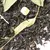 Чай черный Мед с Липой в чайном магазине BestTea, фото , изображение 9