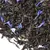 Чай черный Эрл Грей Голубой Цветок в чайном магазине BestTea, фото , изображение 5
