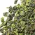 Чай улун Те Гуань Инь Ван кат. А в чайном магазине BestTea, фото , изображение 11