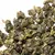 Чай улун Цзинь Сюань (Огненный цветок) оптом в BestTea, фото , изображение 3