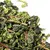 Чай улун Те Гуань Инь c черенком в чайном магазине BestTea, фото , изображение 12