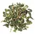 Чай улун Те Гуань Инь c черенком в чайном магазине BestTea, фото , изображение 14