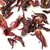 Каркадэ Королевский в чайном магазине BestTea, фото , изображение 2