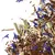 Чай Ройбуш Калахари оптом в BestTea, фото , изображение 4
