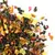 Чай улун Очарование в чайном магазине BestTea, фото , изображение 4
