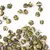 Чай жасминовый Хуа Лун Чжу, кат. В в чайном магазине BestTea, фото , изображение 3