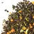 Чай зеленый Манго со сливками, ароматизированный в чайном магазине BestTea, фото , изображение 6