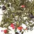 Чай зеленый Ягодная сказка оптом в BestTea, фото , изображение 6