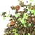 Чай улун Виноградный в чайном магазине BestTea, фото , изображение 3