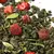 Чай  улун Земляничная поляна оптом в BestTea, фото , изображение 6
