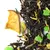 Чай черный Заветное Желание (Цейлон) оптом в BestTea, фото , изображение 4