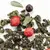 Чай Улун Ягодное лукошко оптом в BestTea, фото , изображение 4