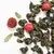 Чай Улун Ягодное лукошко оптом в BestTea, фото , изображение 6