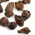 Чай пуэр Комковой дикий, Шу кат. B в чайном магазине BestTea, фото , изображение 3
