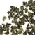 Чай улун Гуань Инь Ван в чайном магазине BestTea, фото , изображение 6