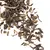 Чай черный Дарджилинг Margarets Hope FTGFOP 1 в чайном магазине BestTea, фото , изображение 7