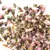 Персик бутоны оптом в BestTea, фото , изображение 4